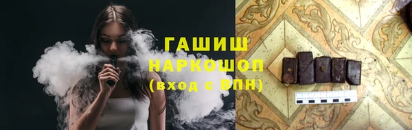 индика Кинешма