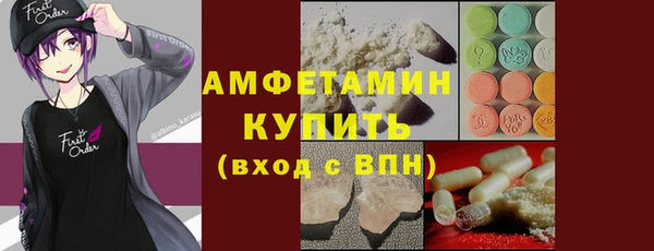 индика Кинешма