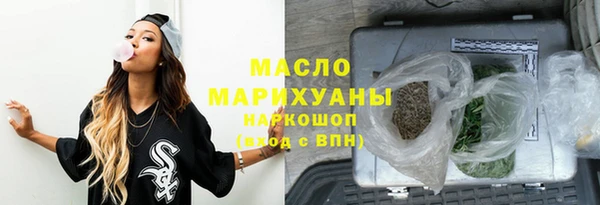 индика Кинешма