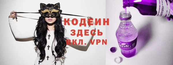 индика Кинешма