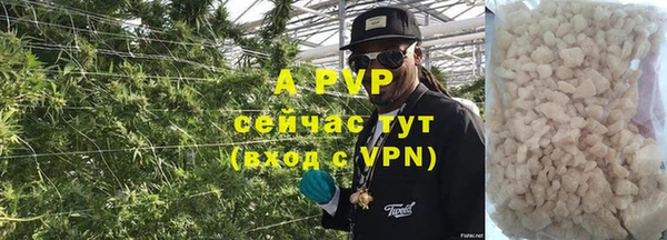 индика Кинешма