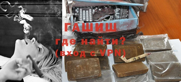 индика Кинешма