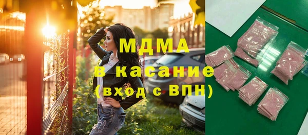 индика Кинешма