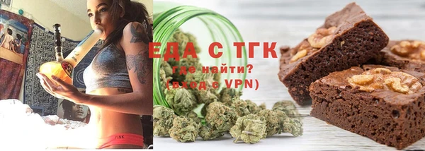 индика Кинешма