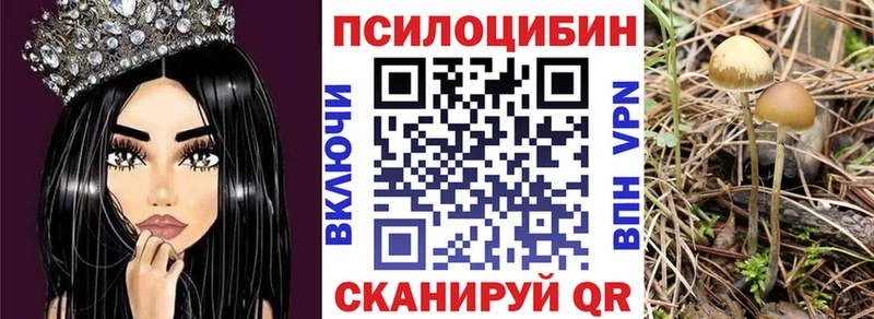 Псилоцибиновые грибы Psilocybe  Купить где  Покровск 
