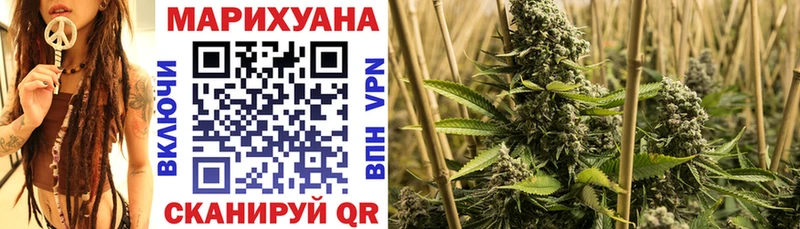 Конопля семена  Купить  Покровск 